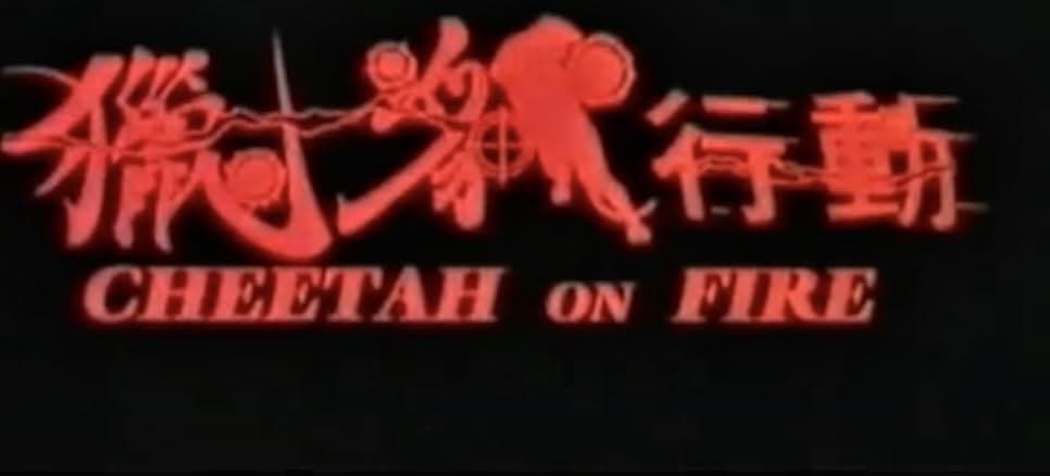 Cheetah on Fire 1992