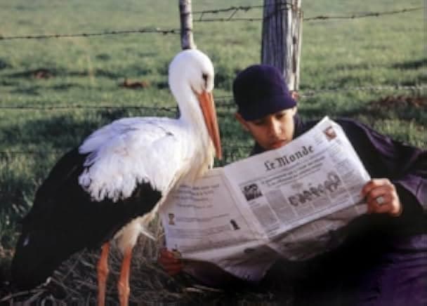 Je suis né d'une cigogne 1999