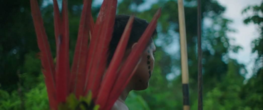 The Last Forest 2021