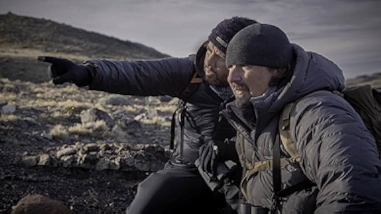 Into the Puma Triangle 2020