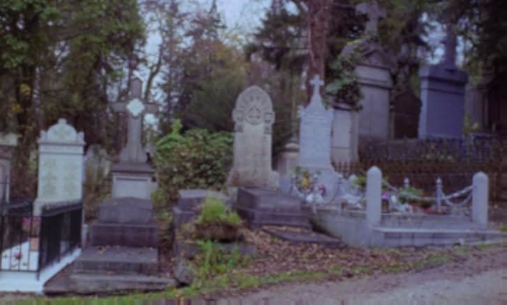 The Iron Rose 1973