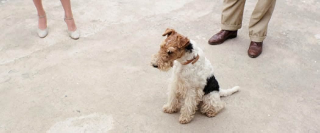 Stefan Zweig: Farewell to Europe 2016