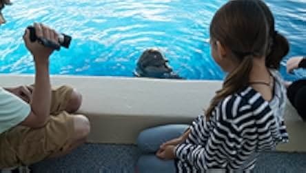 Bernie The Dolphin 2018