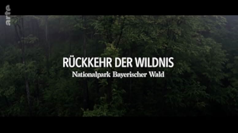 Der Wilde Wald 2021