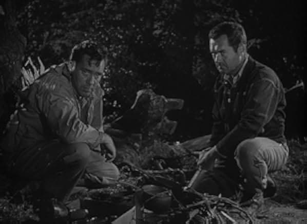 The Hitch-Hiker 1953