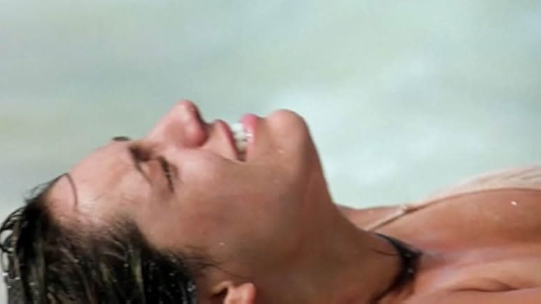 Survival Island 2005