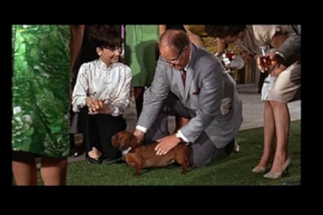 The Ugly Dachshund 1966
