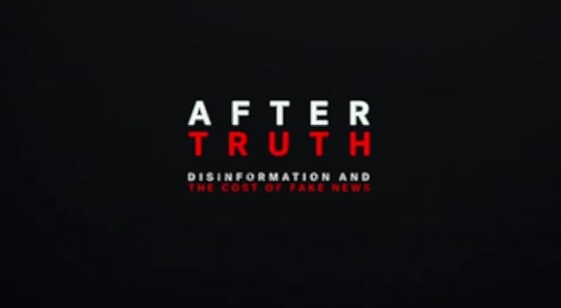 After Truth: Disinformation and the Cost of Fake News 2020