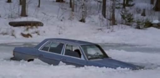 The Four Seasons 1981