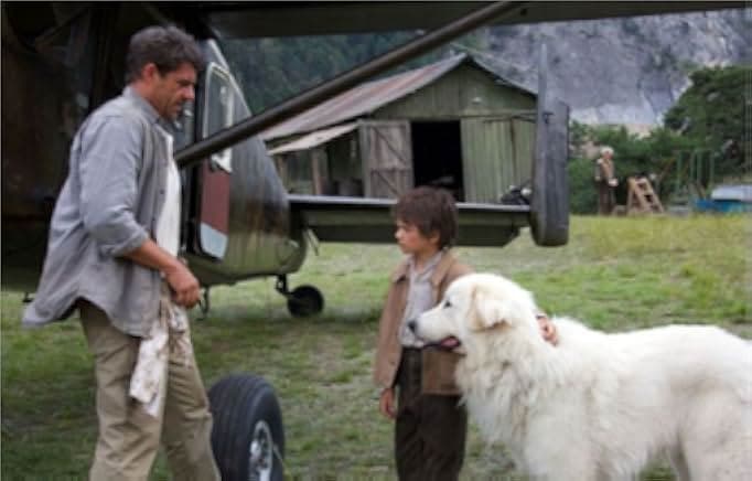 Belle & Sebastian - The Adventure Continues 2015