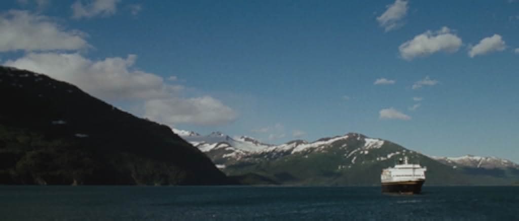 Wildlike 2014