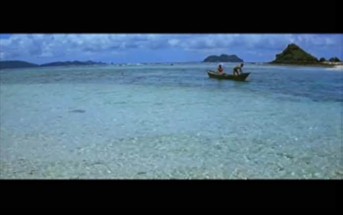 Tora-san's Tropical Fever 1980