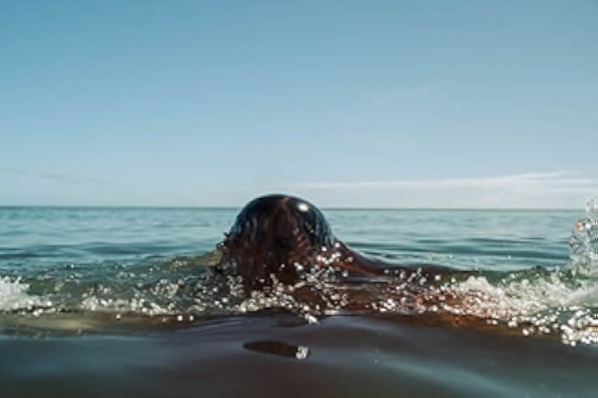 The Reef: Stalked 2022