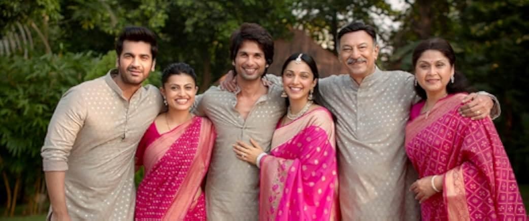 Kabir Singh 2019
