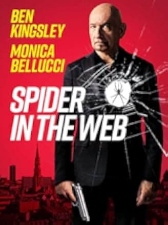 Spider in the Web 2019