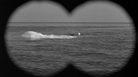 The Monster That Challenged the World 1957