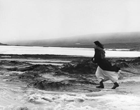 The Gold Diggers 1983