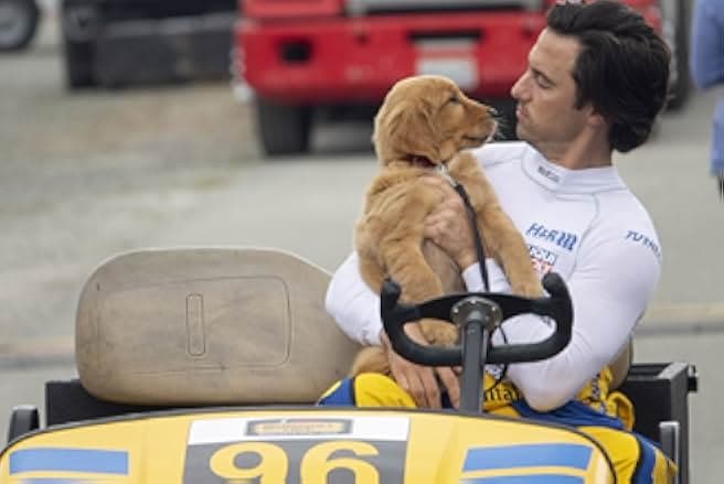 The Art of Racing in the Rain 2019