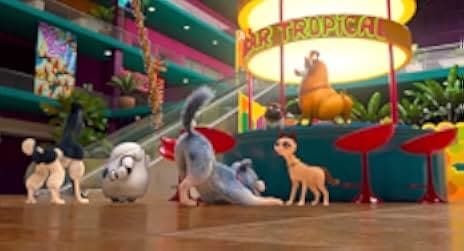 Pets United 2019