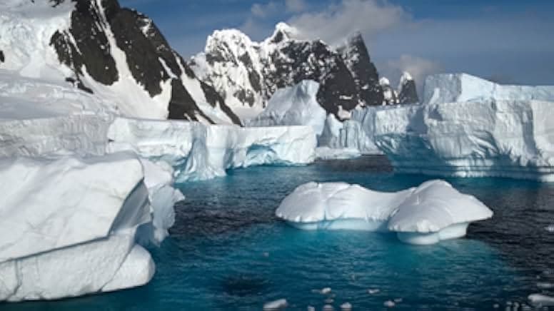 David Attenborough: A Life on Our Planet 2020