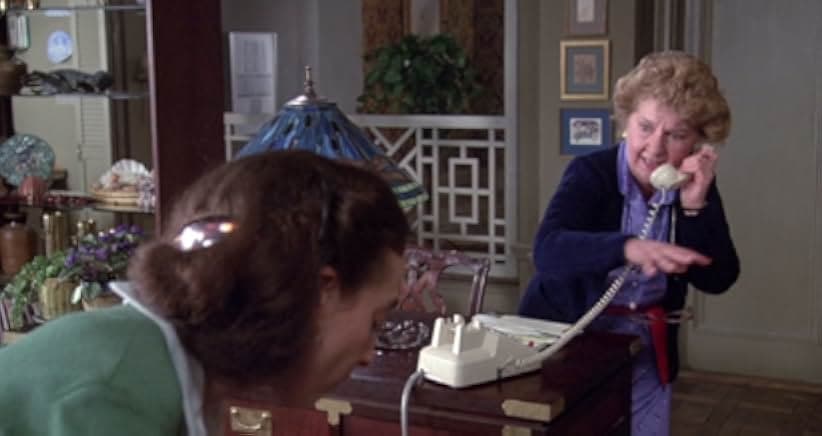 The Fan 1981