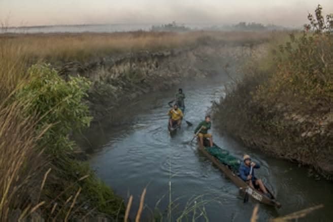 Into the Okavango 2018