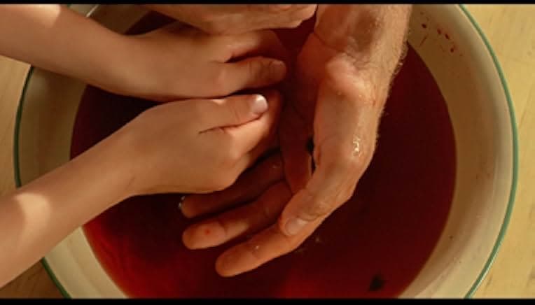 The Reflecting Skin 1990