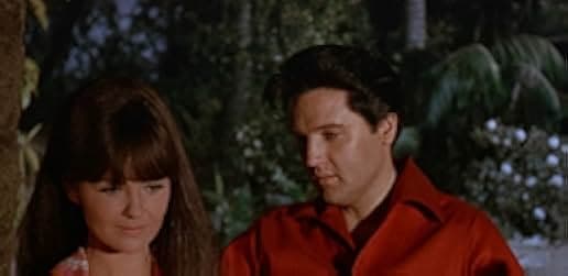 Clambake 1967