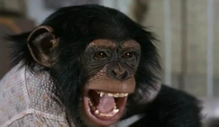 The Monkey's Uncle 1965