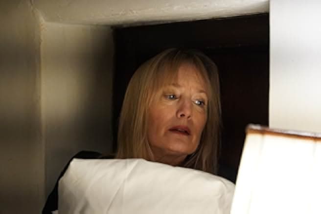 Spider in the Attic 2021