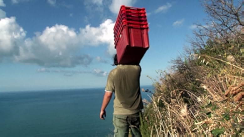 Barolo Boys. The Story of a Revolution 2014