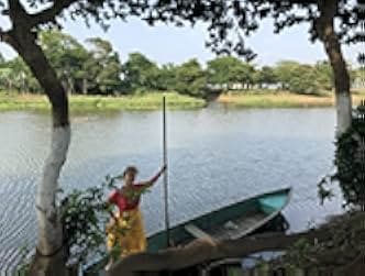 Fandango at the Wall 2020