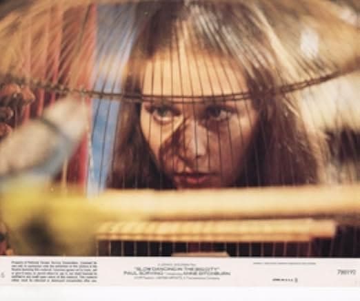 Slow Dancing in the Big City 1978