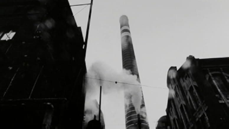 David Lynch: The Art Life 2016