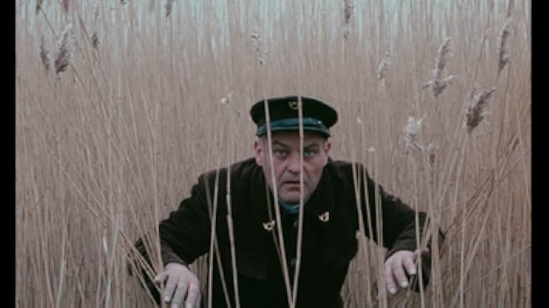 Love Brides of the Blood Mummy 1973