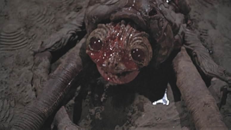 The Boogens 1981