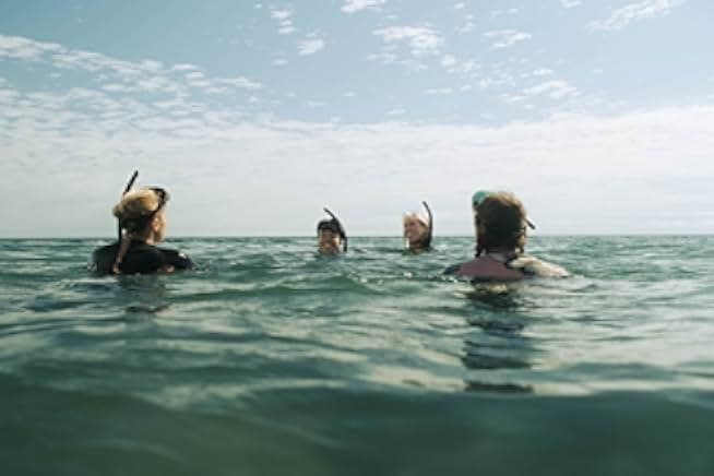 The Reef: Stalked 2022