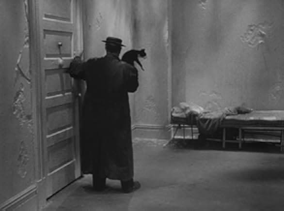 Film 1965
