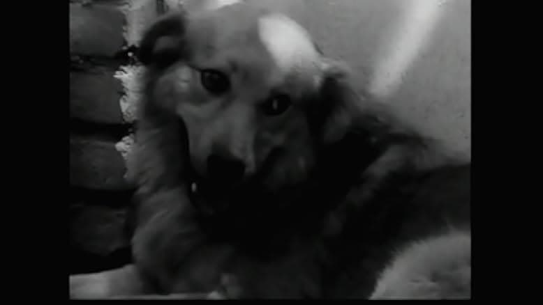 Bread and Alley 1970