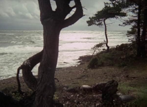 Fårö Document 1970