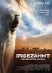Unbranded 2015