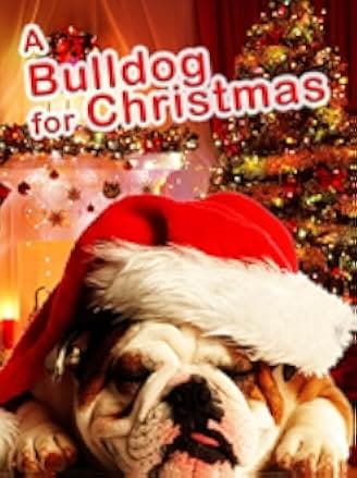 A Bulldog for Christmas 2014