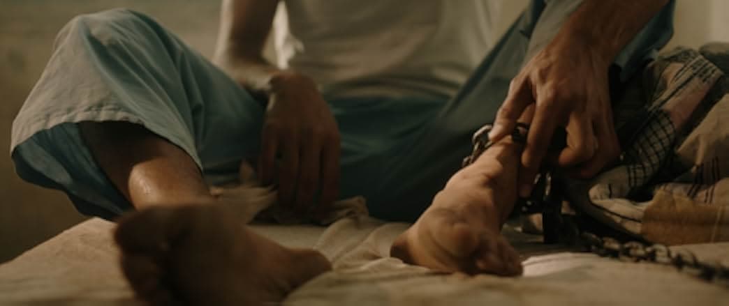 Sleep of the Crow 2023