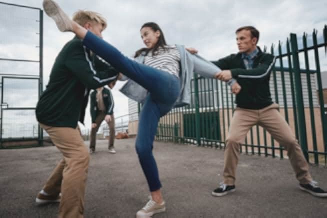 Ip Man 4: The Finale 2019