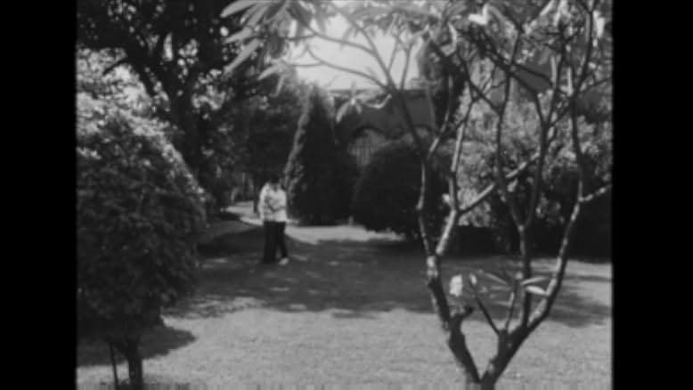 La fièvre monte à El Pao 1959