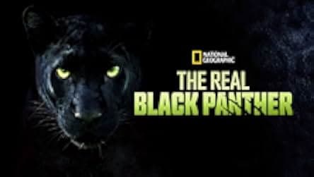 The Real Black Panther 2020