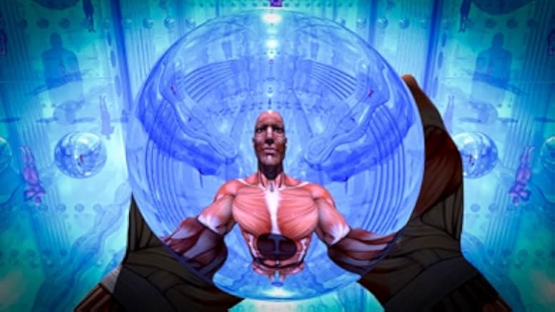 Contemplations: On the Psychedelic Experience 2022