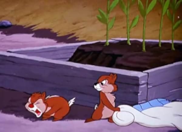 Food for Feudin' 1950