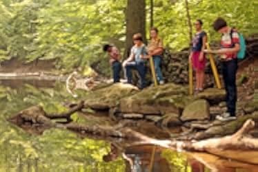The Stream 2013