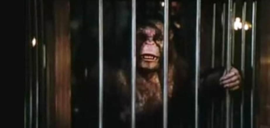 The Murders in the Rue Morgue 1986